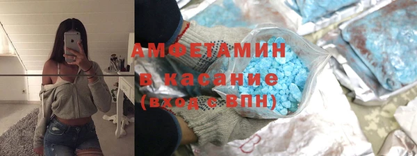 индика Вяземский