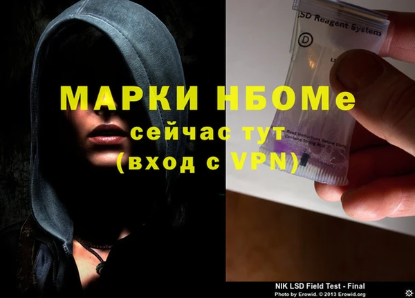 индика Вяземский
