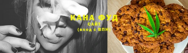 индика Вяземский