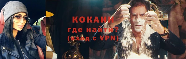 дживик Вязники