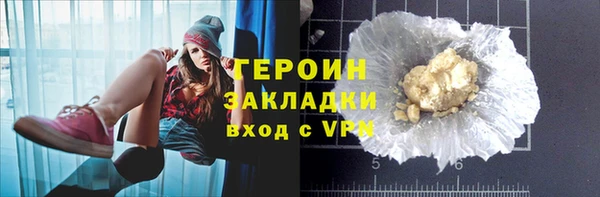 индика Вяземский
