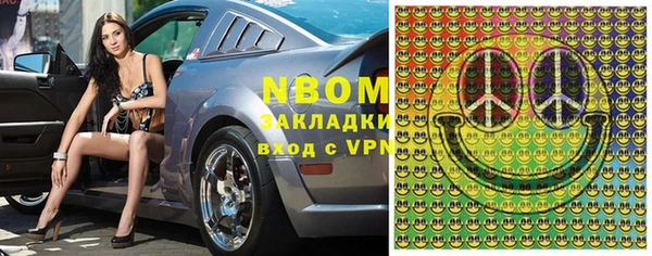 индика Вяземский
