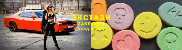 индика Вяземский