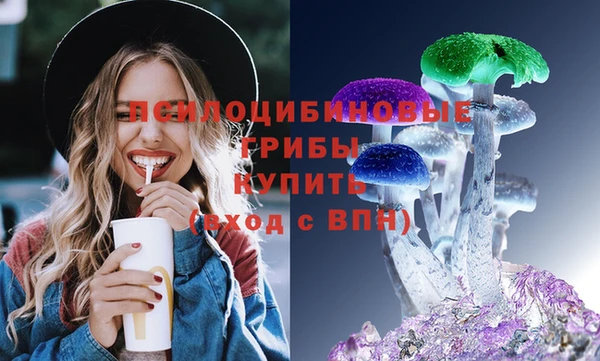 дживик Вязники