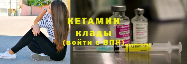 индика Вяземский