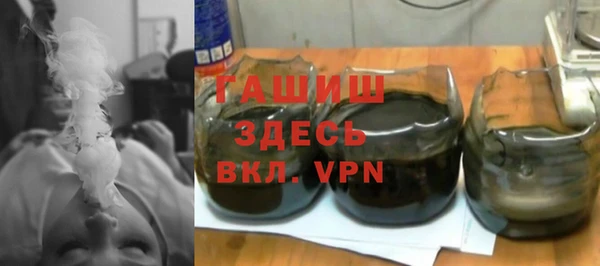 индика Вяземский