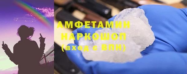 индика Вяземский