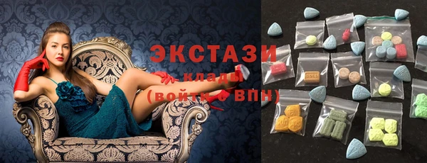 индика Вяземский