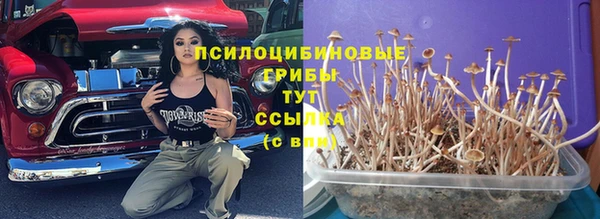 a pvp Вязьма