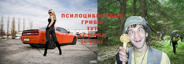 дживик Вязники