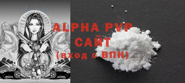 индика Вяземский