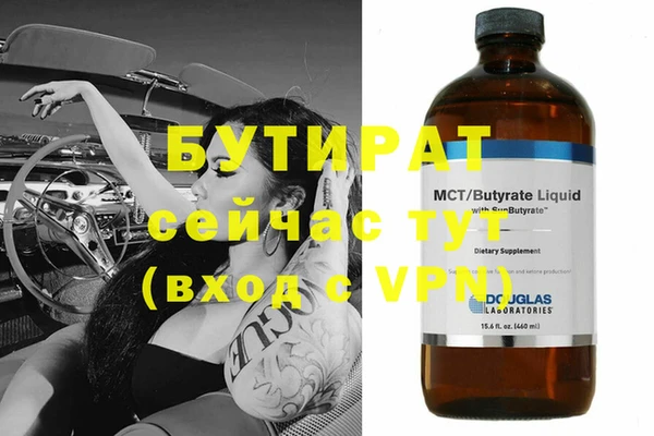 индика Вяземский