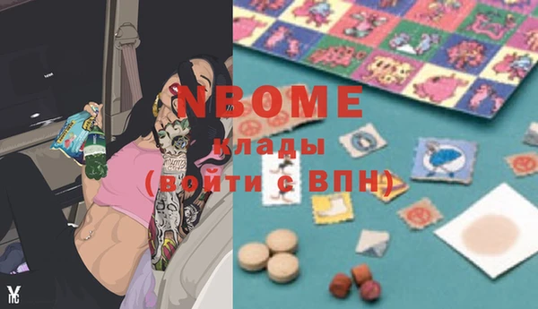 индика Вяземский