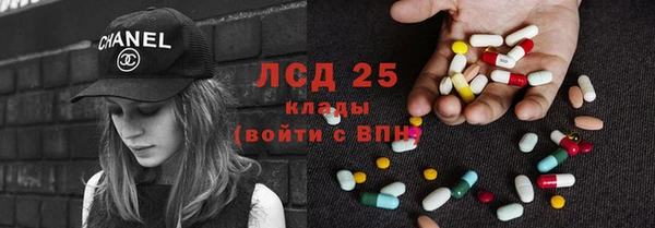 индика Вяземский